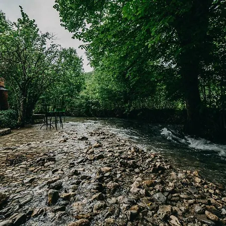Ena Bihac